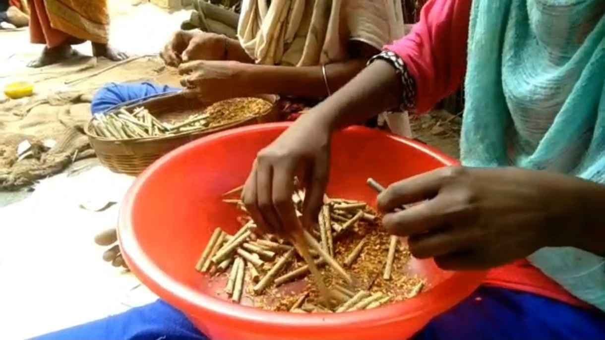 Bidi labours had to face financial loss for unrest in Murshidabad