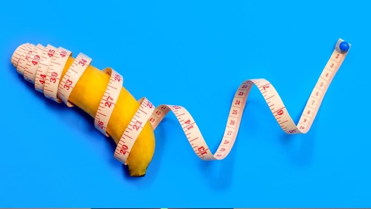 What should be the ideal size of male genital organ according to science lif