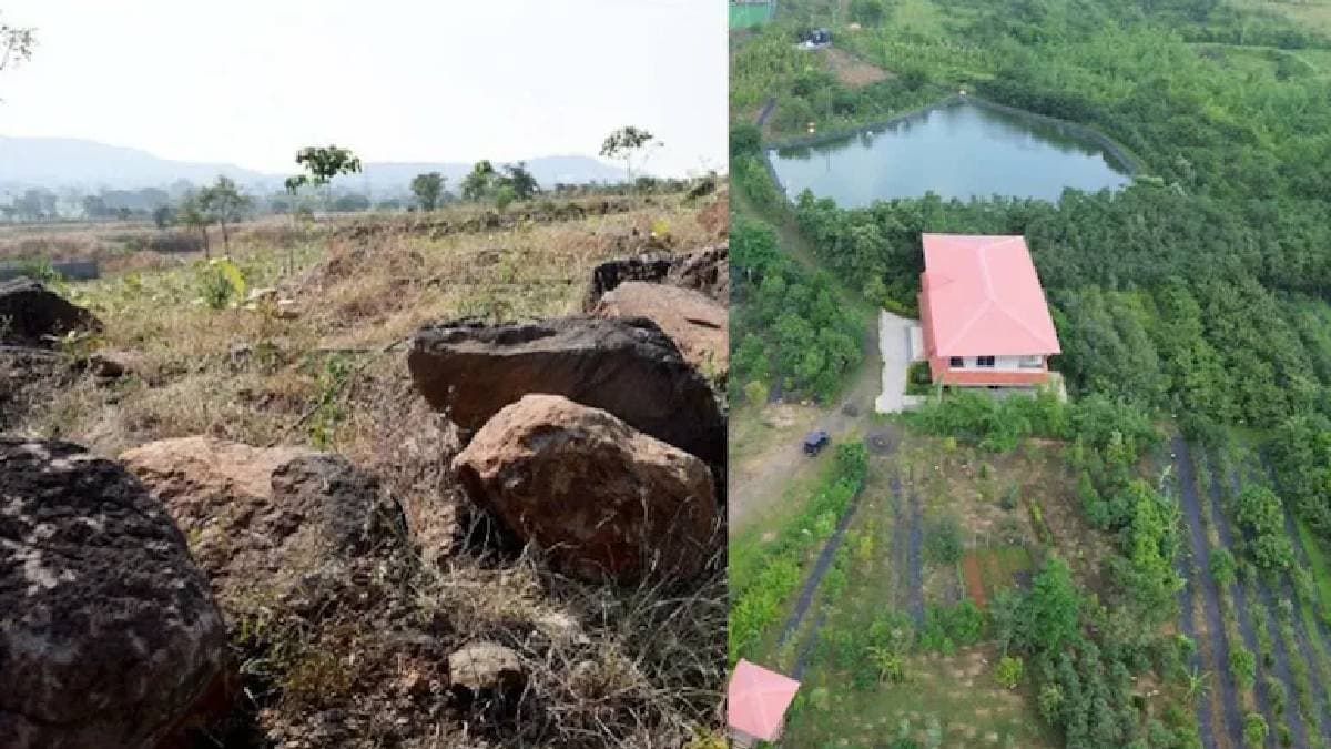  8 years 40000 trees how indore man shankar lal garg turned barren hill into a forest