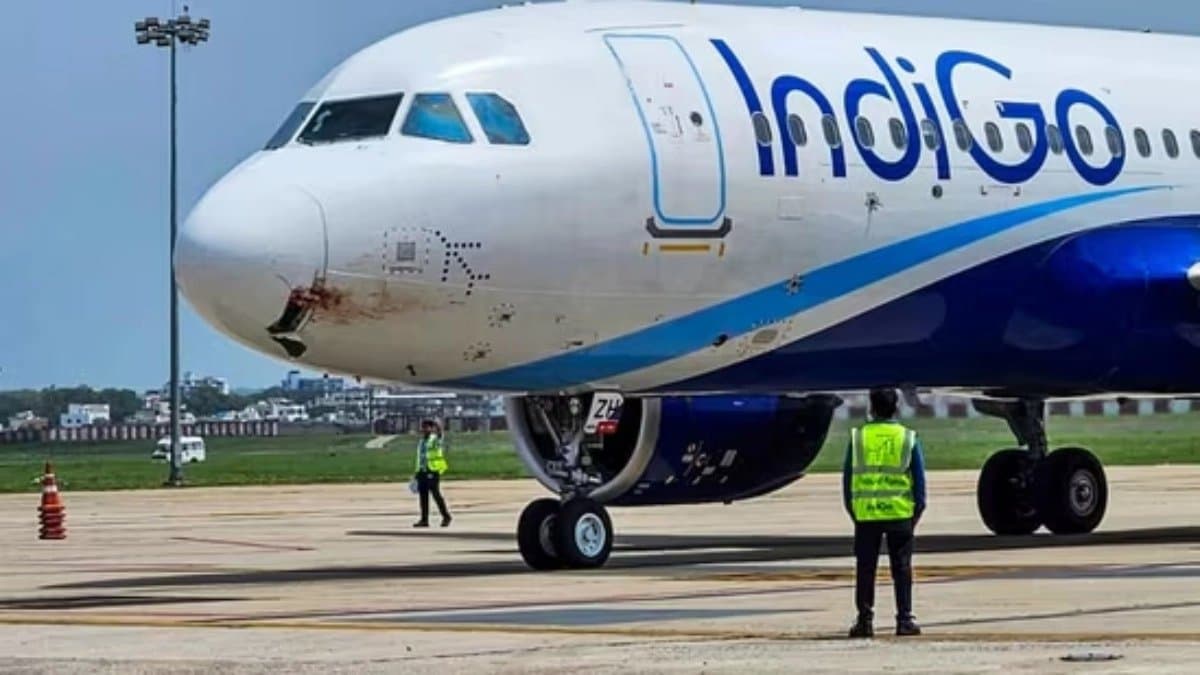 Indigo bans the passenger accused of slapping his co-passenger