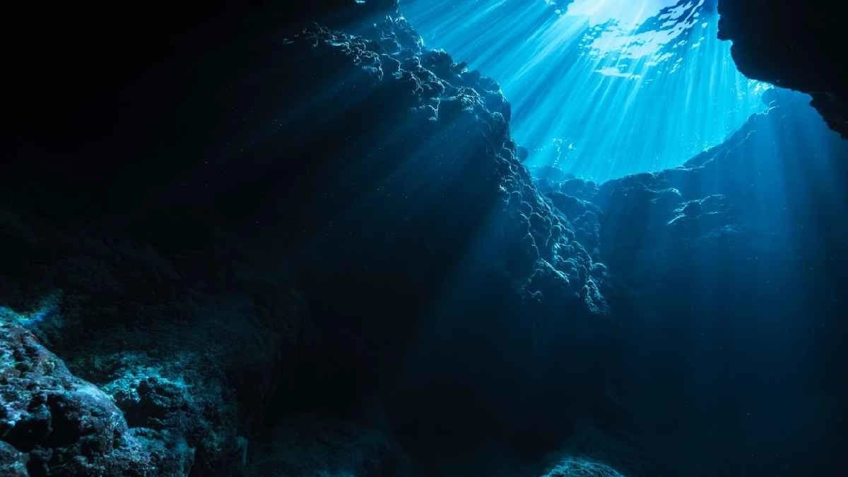 God of the sea found deep in the Pacific ocean and no one expect it