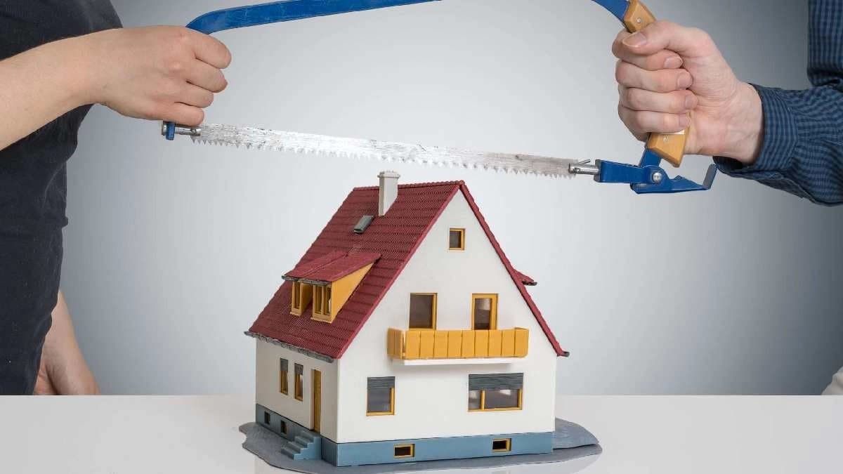 Siblings find out both of them are adopted during Ancestral Property Dispute