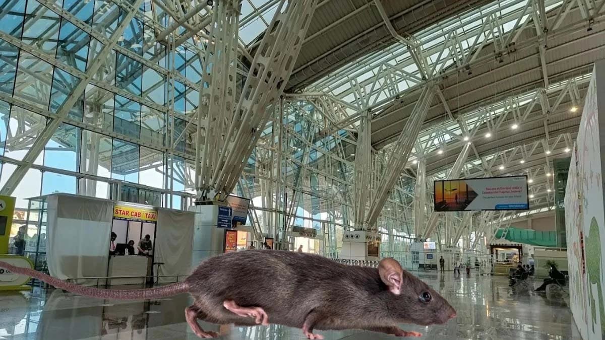 Rat enters passengers trousers at Indore Airport