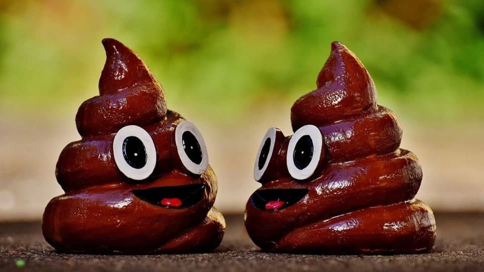 Colour of your poop might indicate diseases