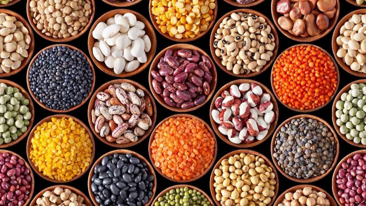 Rajma high in fibre and prevent constipation cancer cells also lif