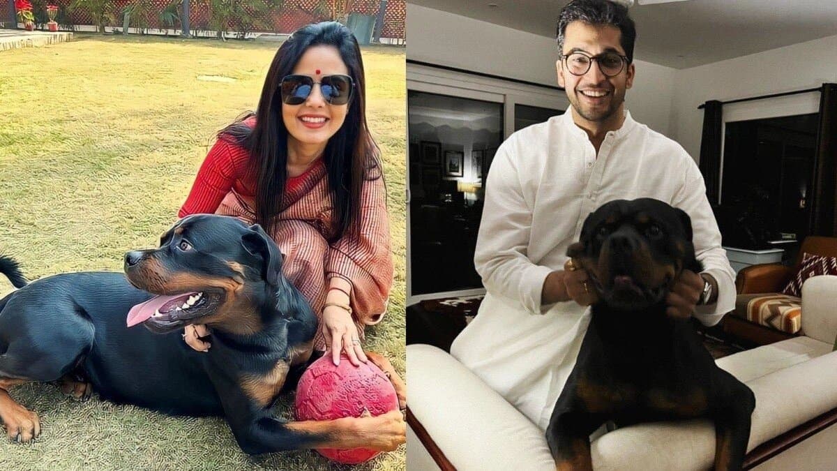Resolve their battle over the custody of a pet dog sources says court asked to Mahua and Jai Why Cant You Sort It Out