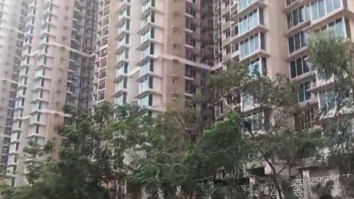 Mother throws daughter from 29th floor then jumps 