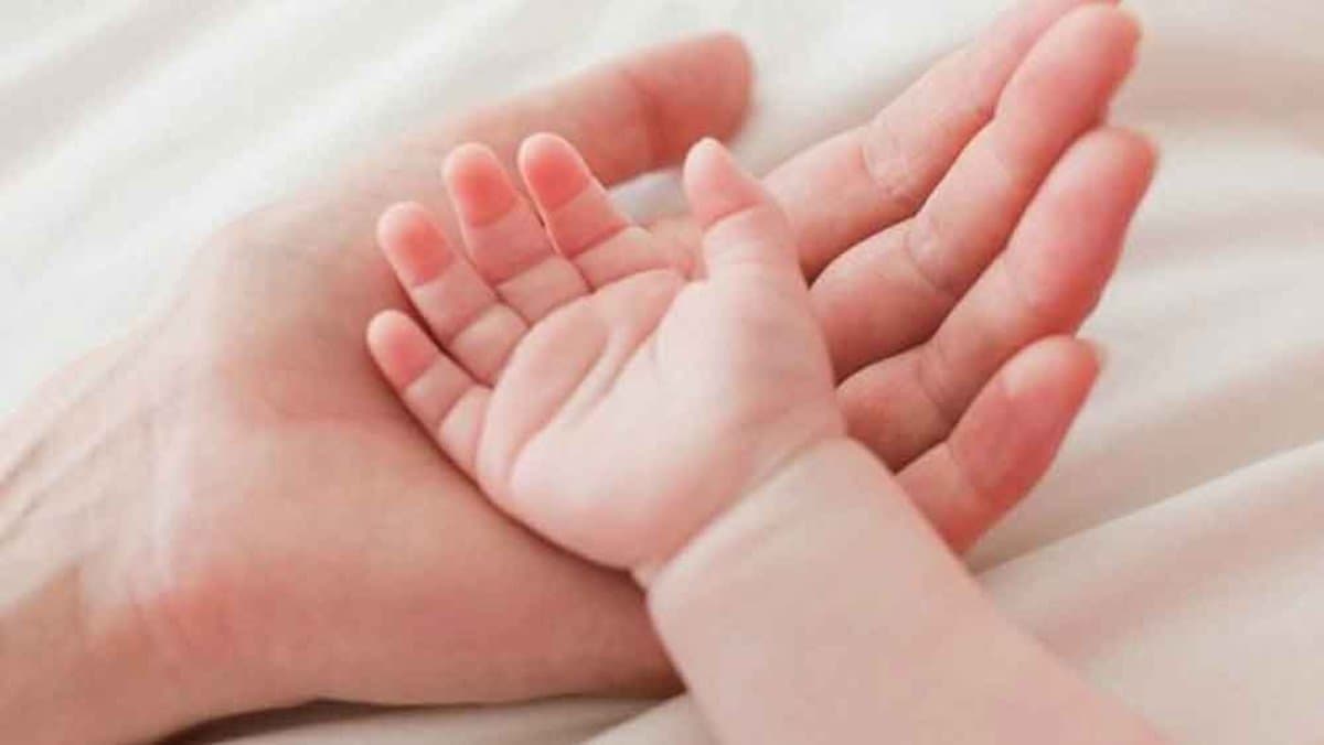 Elon Musk thinks Singapore is going to extinct, here s why gnr