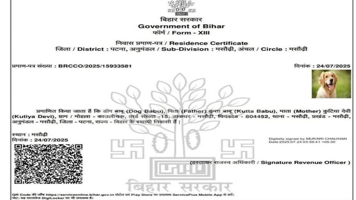 Residential certificate in bihar issued on Dog Babu name