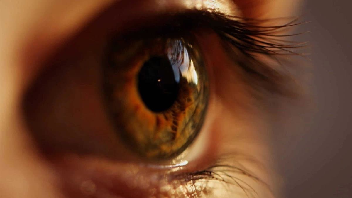 Daily Habits which can help you to keep your retina healthy