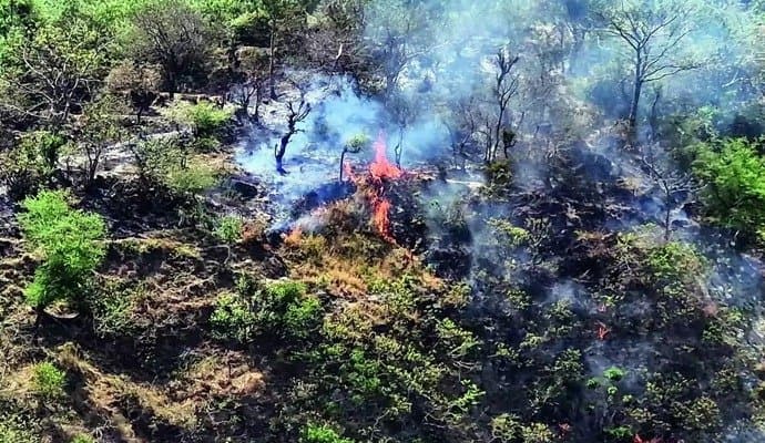 Major forest fire in kashmir 