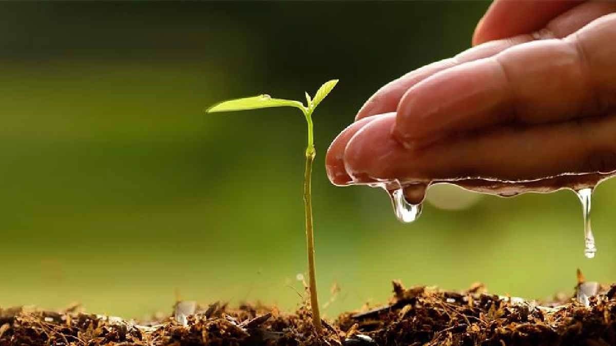 New Research shows that Tropical Forests are the real Climate Champions