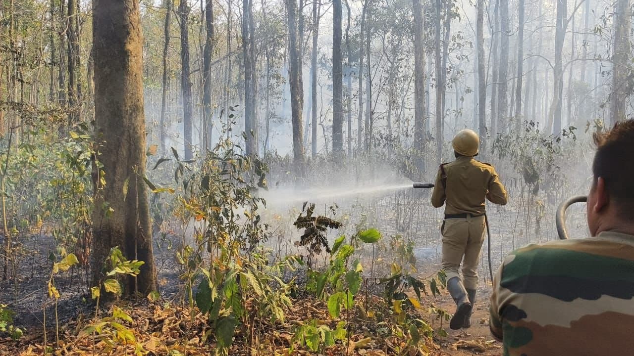 fire at dooars jungle
