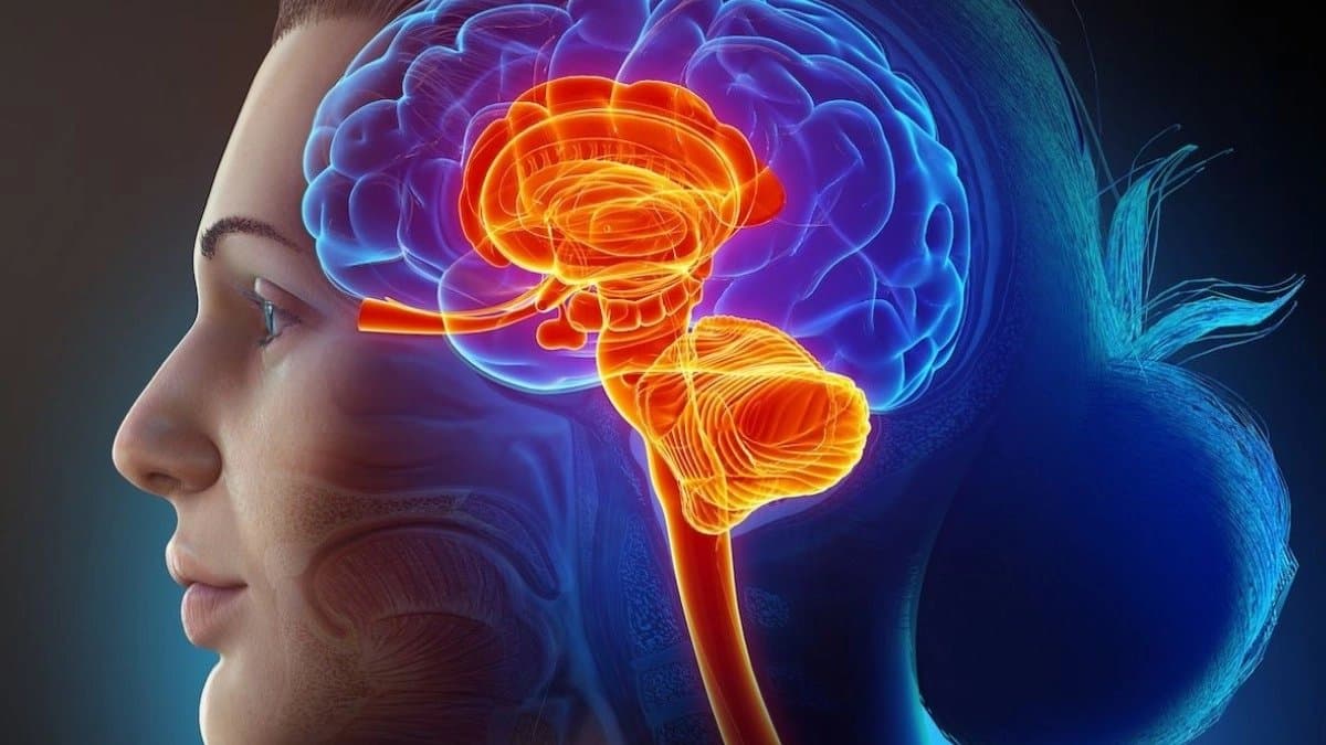 What happens to a woman s brain after physical assault