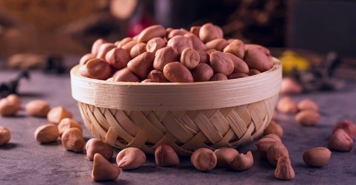  Is peanut is really healthy know who should not consume even by mistake lif