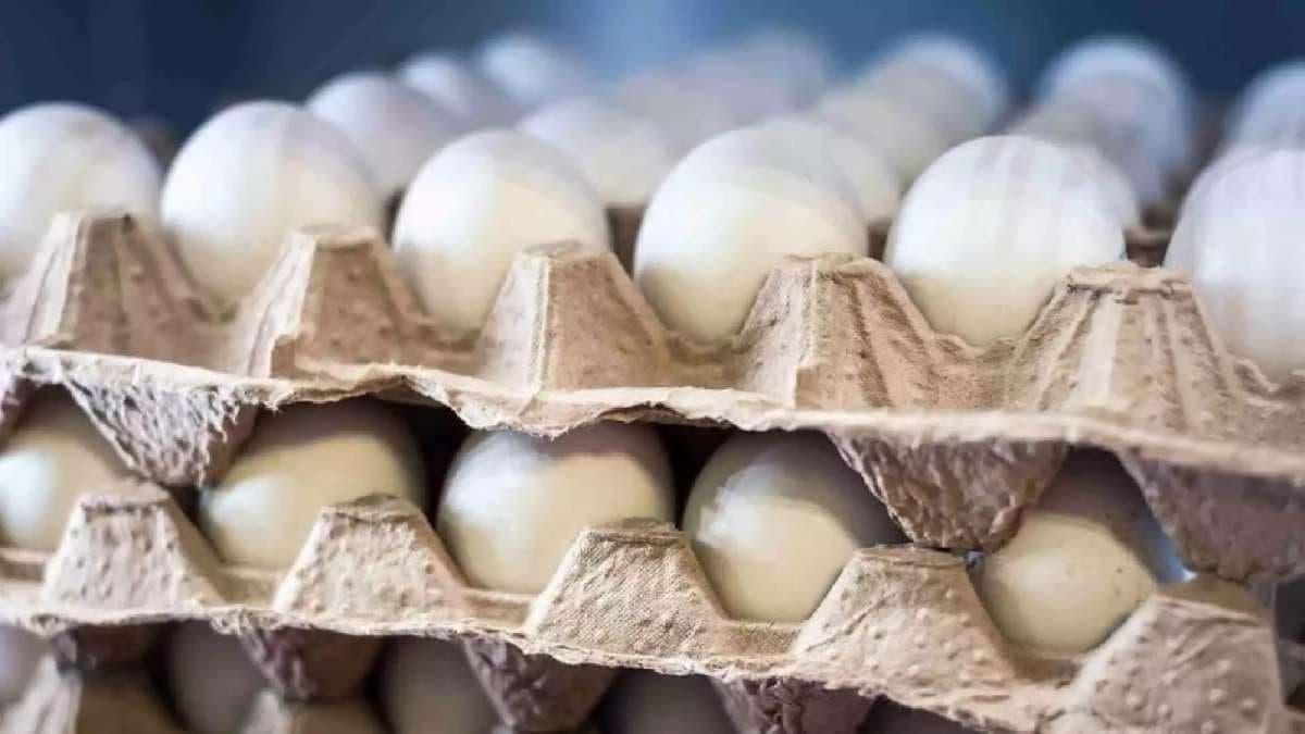Egg prices surge amid winter demand  in kolkata gnr