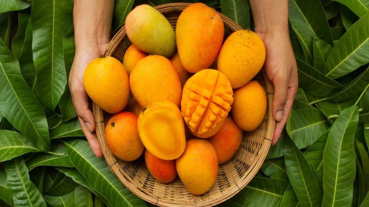 Diabetes Patients summer Diet: to eat or not to eat Mango