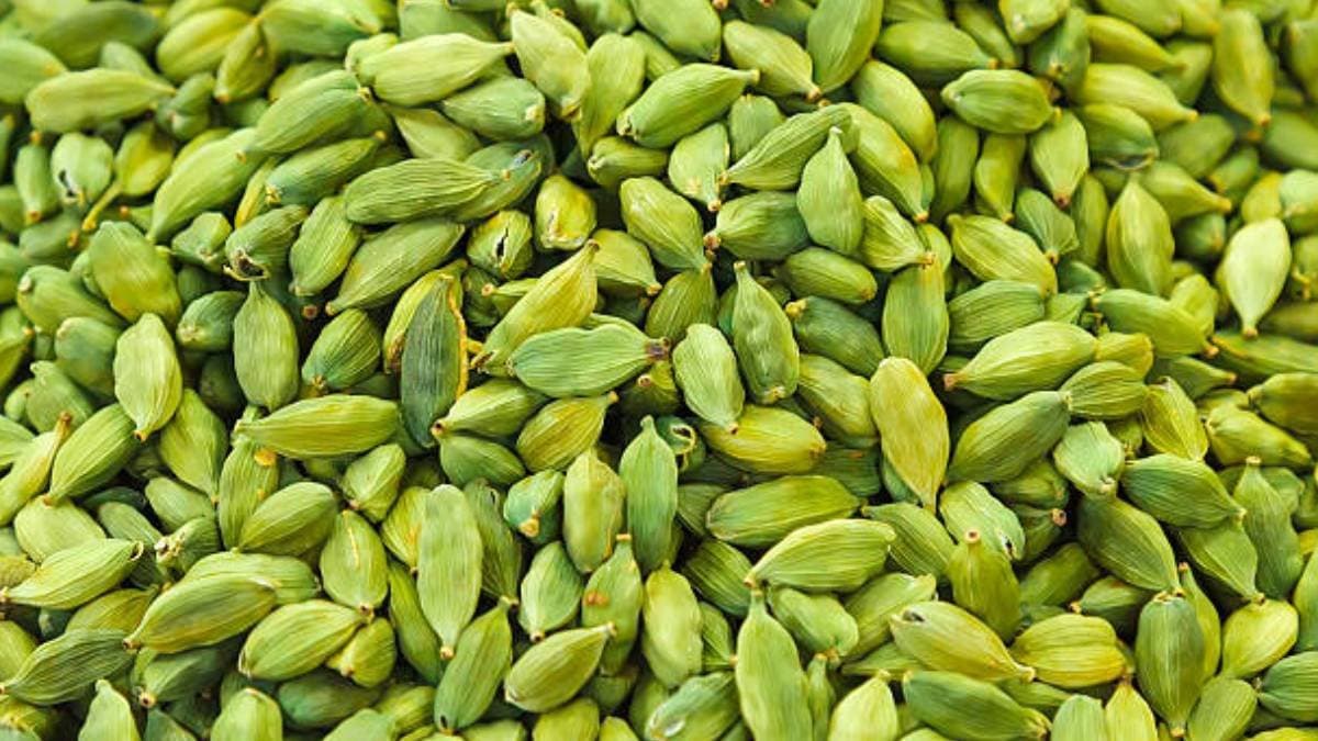 Elaichi health benefits will amaze you