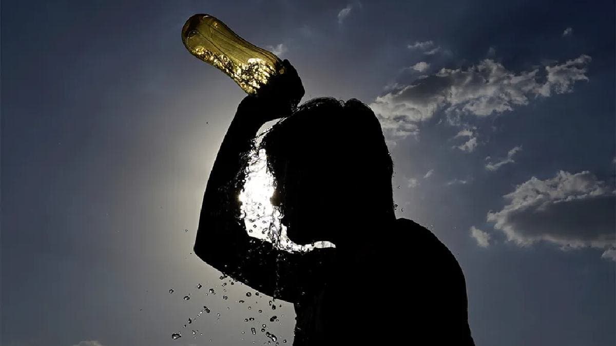 Summer Health Tips: Health benefits of eating tomato