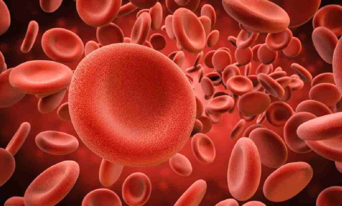 pomegranate can benefit the patients of anemia