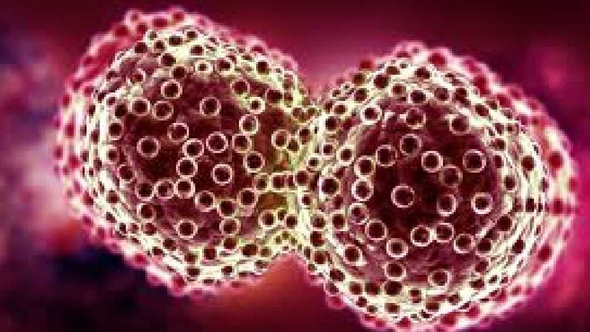 Health ministry to launch nationwide screening drive for high bp diabetes cancer gnr