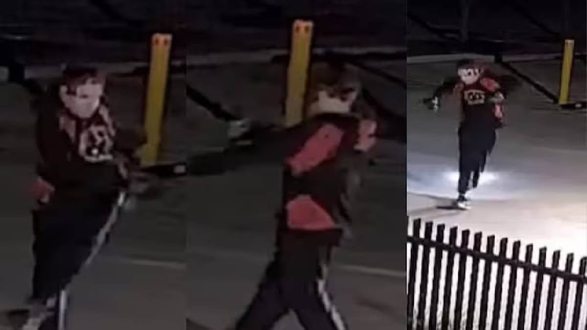 Police witness unusual theft in Australia