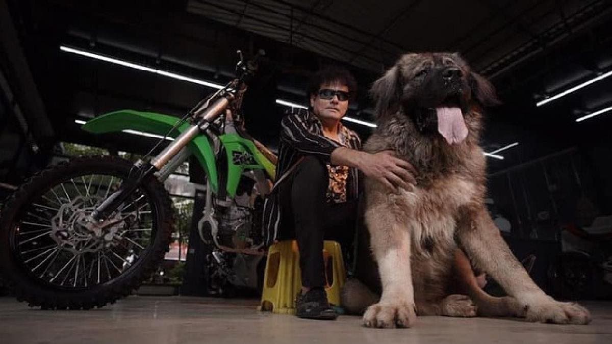 WolfDog worth 50 crore is not real ED visit to a Bengaluru man truth revealed