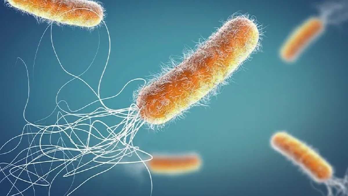 Artificial intelligence sloves superbug mystry in 48 hours gnr 