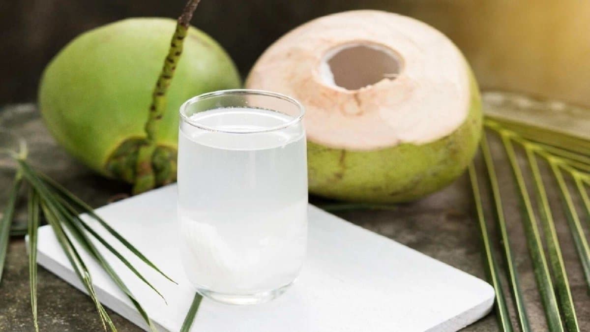 Coconut Water is not always good know who should not consume this drink 