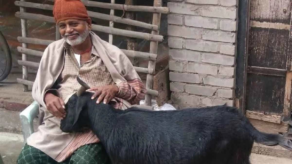 Goat is precious than human a drama reminisces after MLA lost his pet
