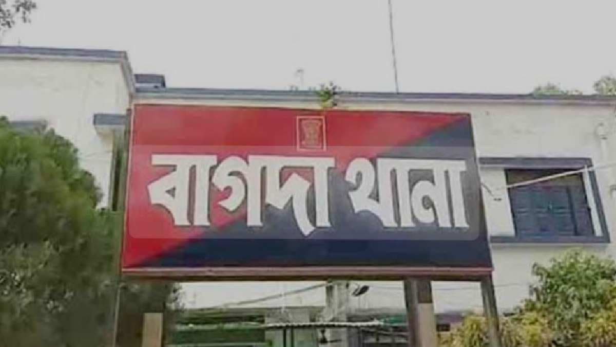 Tree cutting problem in bagda gnr 