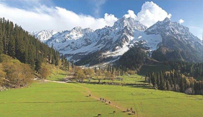 Record tourist in kashmir 