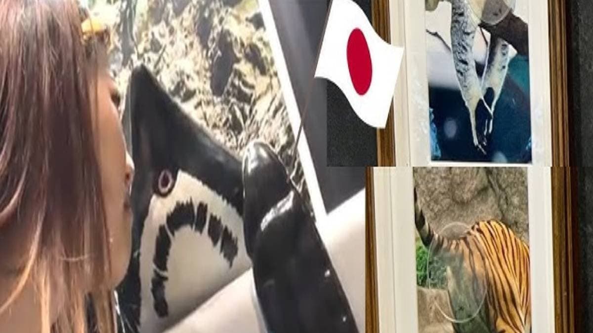 Atoa Aquarium in Kobe exhibits smelling animal