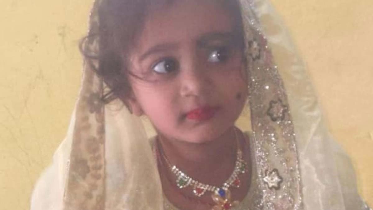 Four year old girl dies of rabies in Bengaluru after being bitten by a stray dog