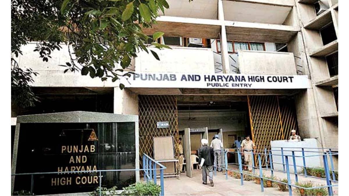 employee cannot be terminated during maternity leave order by punjab and haryana hc