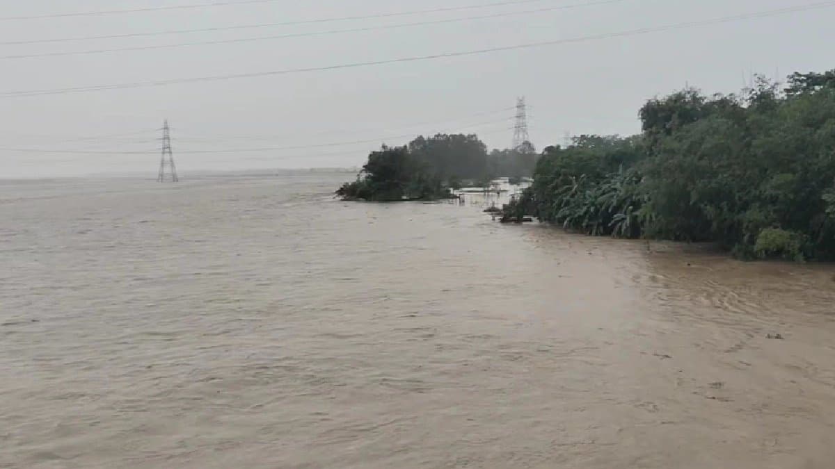 IMD Weather Update heavy rain in north bengal water level in rivers has-started-rising