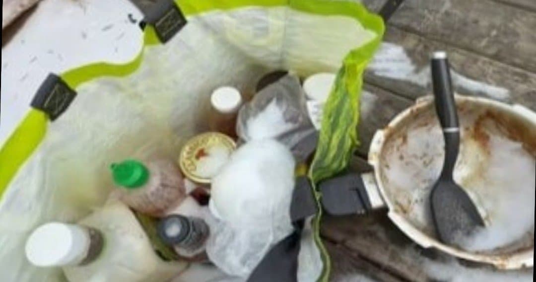 Indian man in canada turns freezing balcony goes viral_gnr