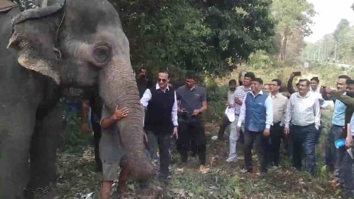 Forest Worker Died as elephant Jumps on him during trains whistle 
