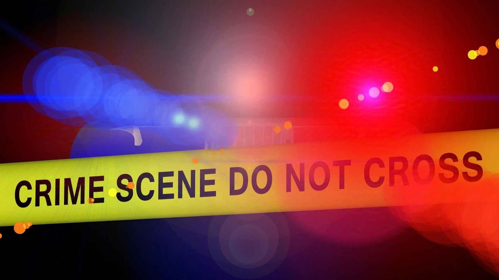 Madhya Pradesh woman stabs husband's first wife over 50 times gnr 