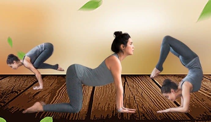 Yoga: পশু অনুপ্রাণিত কোন যোগাসনে সুস্থ হবে শরীর? 