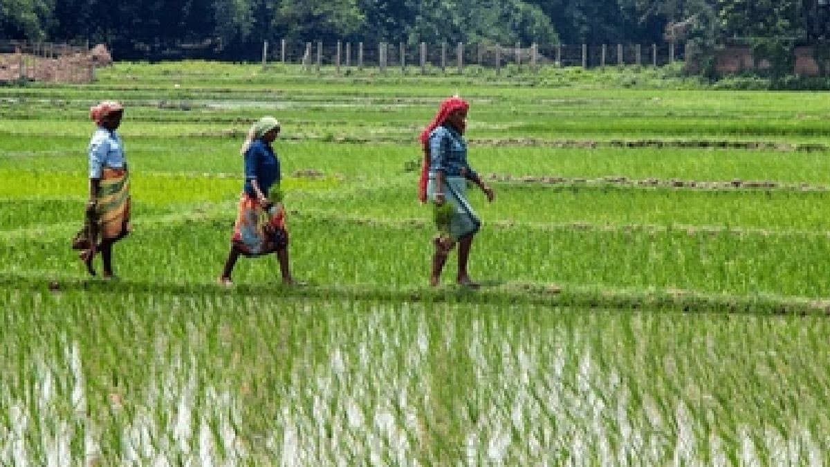 Police advised Indian farmers to be cautious on borders