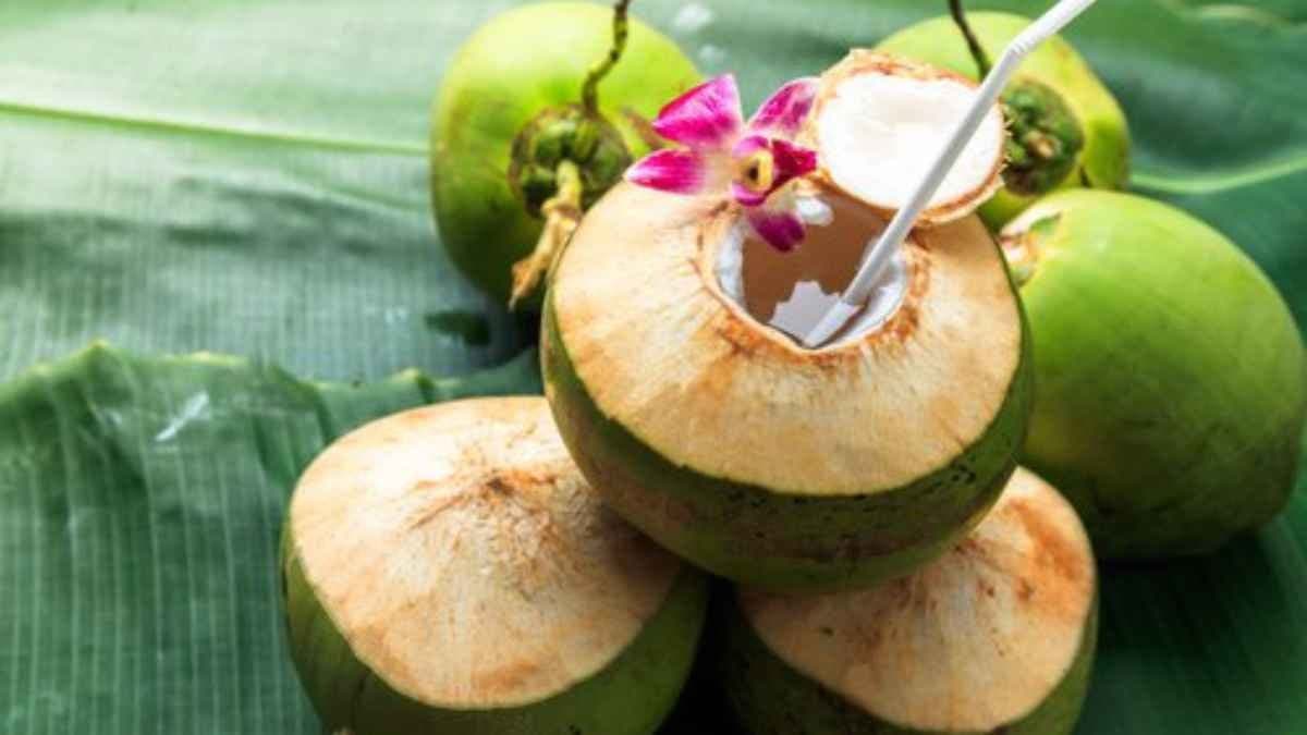  Coconut water is also effective for winter season prevent from many dieases lif 