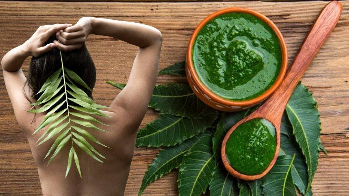 Beauty tips: make homemade night cream with neem and aloe vera