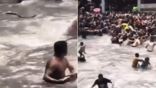 Snake at Mussoories Kempty Falls Scrambles Tourists for Life