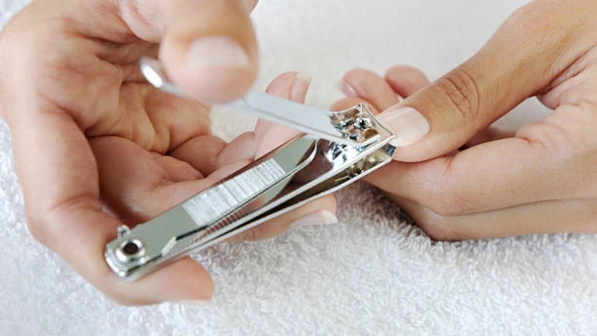 Nail cutter has two tiny knives many people do nদt know its real purpose
