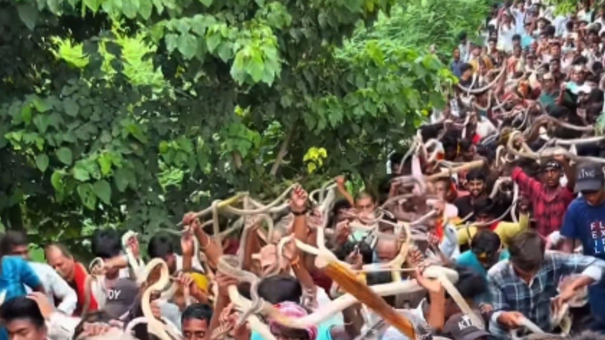 Devotees Carry Snakes in fair in Bihar know the reason 