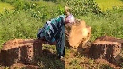 Kiren Rijiju Shares Video Of Woman Crying Over Felling Of Twenty-Year-Old Peepal Tree 