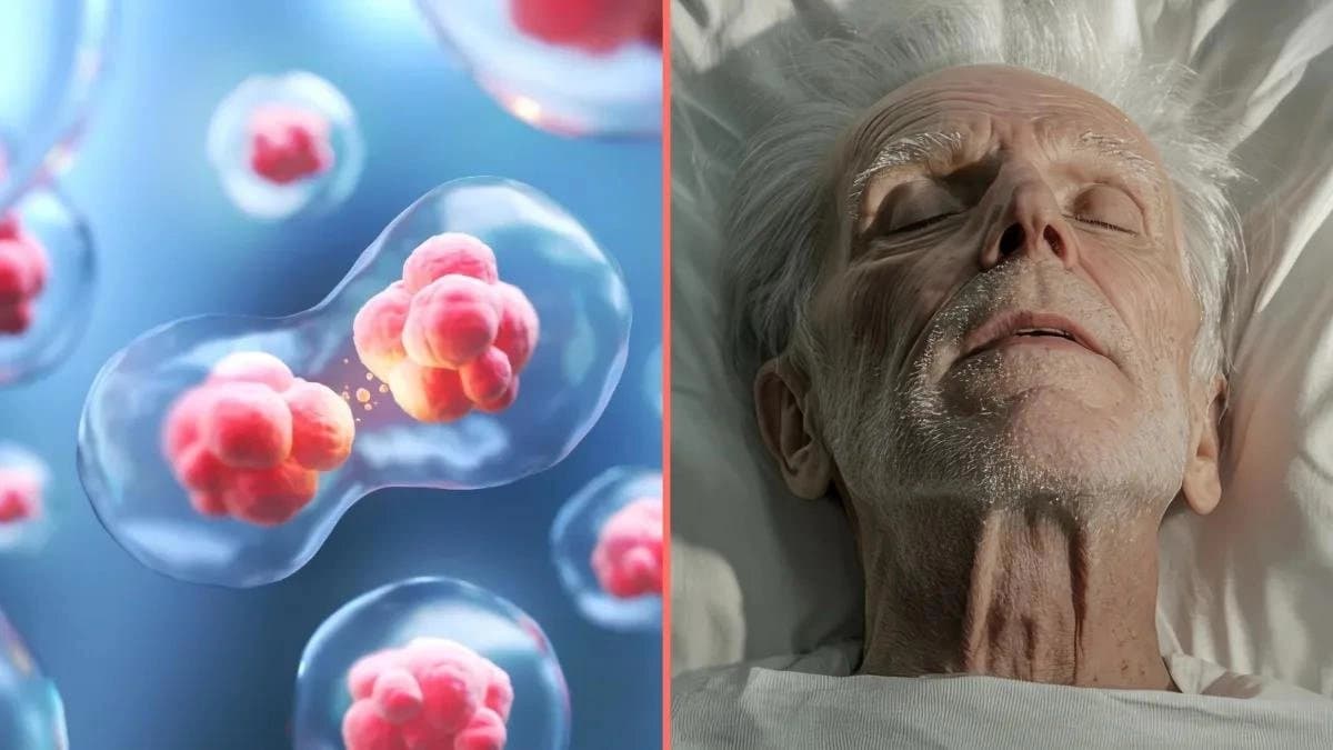 Scientists suggest that there is a third state apart from Birth and death