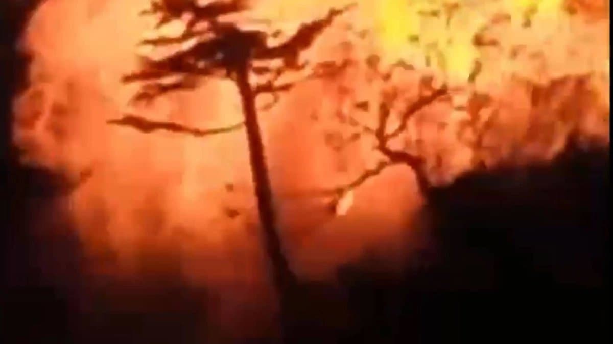 Suspected Cave Blown Up In J&Ks Kishtwar here the reason 