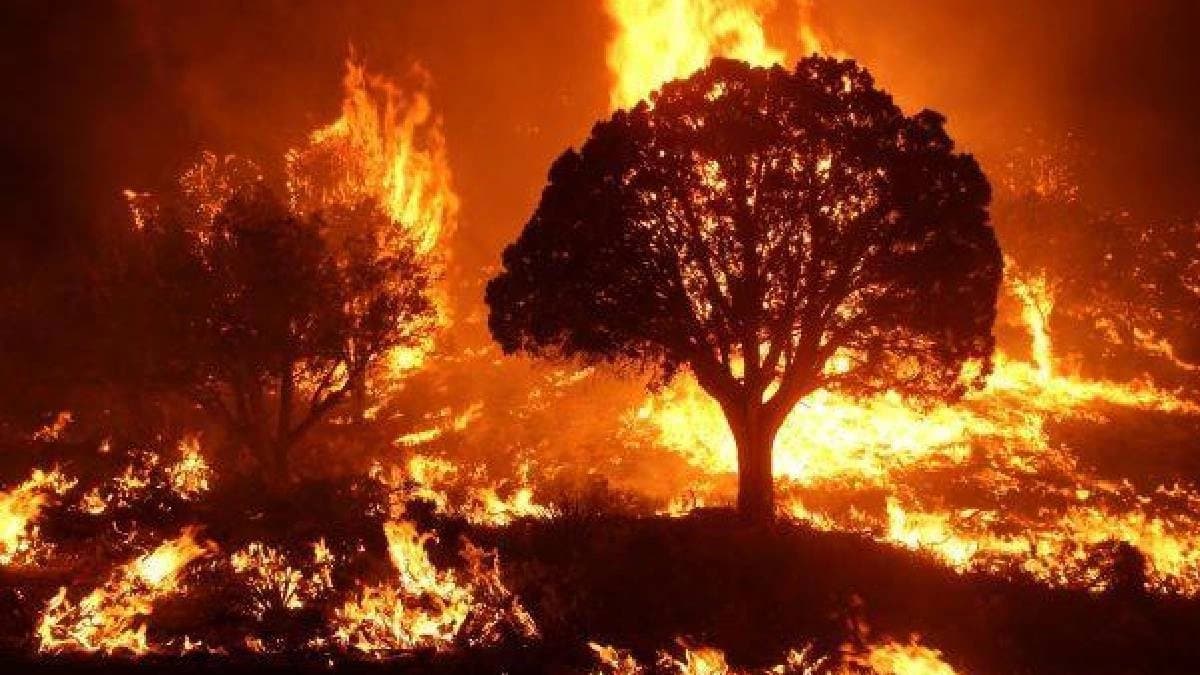 Sunlight makes Wildfire pollute and hard to breathe